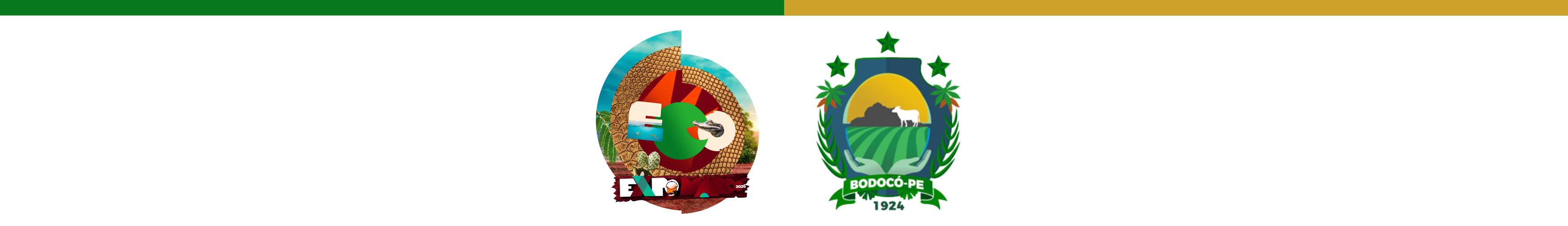 Banner Expo Bodocó – Interações com Répteis